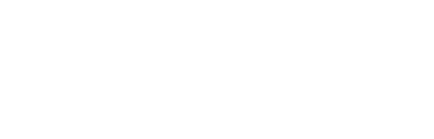 Business Growth Partner